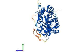 Protein Structure (PS) image for Fucosyltransferase 1 (Galactoside 2-alpha-L-Fucosyltransferase, H Blood Group) (FUT1) (AA 1-365) protein (His tag) (ABIN7547785)