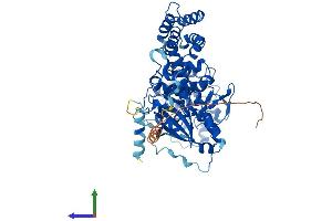 Protein Structure (PS) image for G Protein-Coupled Receptor Kinase 5 (GRK5) (AA 1-590) protein (His tag) (ABIN7564753)