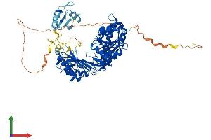 Protein Structure (PS) image for tRNA Methyltransferase 2 Homolog A (TRMT2A) (AA 1-625) protein (His tag) (ABIN7544777)
