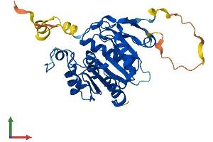 Protein Structure (PS) image for Abhydrolase Domain Containing 17C (ABHD17C) (AA 1-320) protein (His tag) (ABIN7559832)
