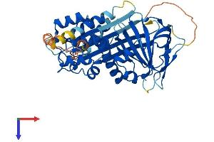 SERPINB2 Protein (AA 1-415) (His tag)