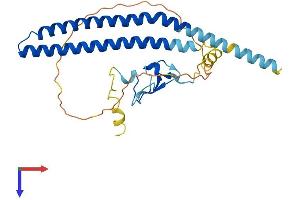 ING2 Protein (AA 1-281) (His tag)