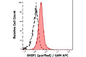Separation of MOLT-4 cells stained using anti-SHIP1 (SHIP-02) purified antibody (concentration in sample 3 μg/mL, GAM APC, red-filled) from MOLT-4 cells unstained by primary antibody (GAM APC, black-dashed) in flow cytometry analysis (intracellular staining). (INPP5D Antikörper  (N-Term))