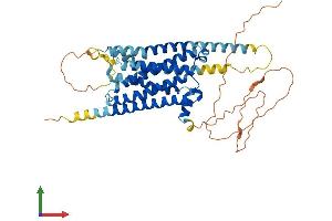 Protein Structure (PS) image for Dopamine Receptor D1 (DRD1) (AA 1-446) protein (His tag) (ABIN7547147)