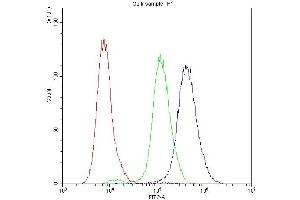 Flow Cytometry analysis of A431 cells using anti-PKC-eta antibody (ABIN3043361). (PKC eta Antikörper  (AA 30-389))