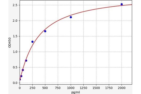 MMEL1 ELISA Kit