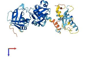MEIOB Protein (AA 1-442) (His tag)