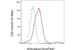 Flow cytometric analysis of ATM expression in HepG2 cells using ATM antibody ( (ABIN7797667), 1:2,000). (Rekombinanter ATM Antikörper)