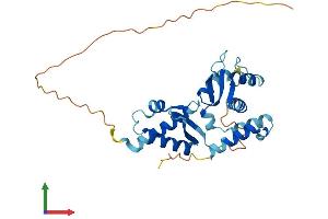 Protein Structure (PS) image for Necdin-Like 2 (NDNL2) (AA 1-279) protein (His tag) (ABIN7560475)