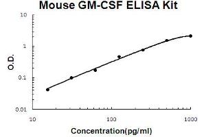 Mouse GM-CSF Accusignal ELISA Kit Mouse GM-CSF AccuSignal ELISA Kit standard curve. (GM-CSF ELISA Kit)