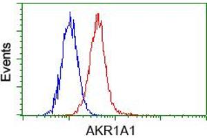 Image no. 5 for anti-Aldo-Keto Reductase Family 1, Member A1 (Aldehyde Reductase) (AKR1A1) antibody (ABIN1496543) (AKR1A1 Antikörper)