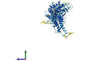 Protein Structure (PS) image for N-Ethylmaleimide-Sensitive Factor (NSF) (AA 1-744) protein (His tag) (ABIN7554808)