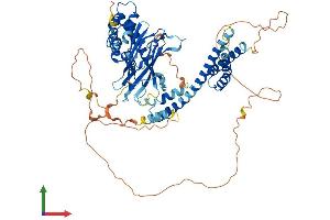 Protein Structure (PS) image for Golgi-Associated, gamma Adaptin Ear Containing, ARF Binding Protein 1 (GGA1) (AA 1-639) protein (His tag) (ABIN7547988)