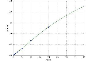 A typical standard curve