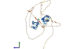 AlphaFold protein structure predicition of Mouse Recombinant Pou2f3 Protein, UniprotID P31362