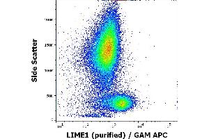 Flow cytometry intracellular staining pattern of human peripheral whole blood using anti-LIME1 (LIME-06) purified antibody (concentration in sample 9 μg/mL, GAM APC). (LIME Antikörper  (AA 141-295))