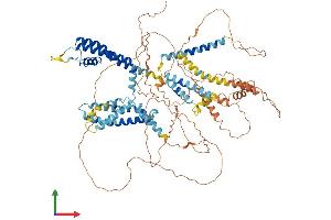 AlphaFold protein structure predicition of Mouse Recombinant Kcnq3 Protein, UniprotID Q8K3F6