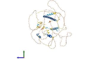 Protein Structure (PS) image for Ubiquitin Interaction Motif Containing 1 (UIMC1) (AA 1-719) protein (His tag) (ABIN7555964)
