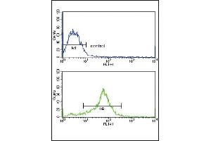 Flow Cytometry (FACS) image for anti-TIMP Metallopeptidase Inhibitor 3 (TIMP3) (AA 113-139) antibody (ABIN653069)