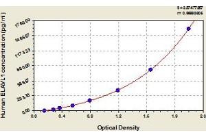 ELAVL1 ELISA Kit