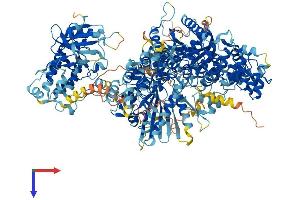 DAP Kinase 1 Protein (AA 1-1442) (His tag)