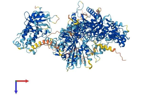 DAP Kinase 1 Protein (AA 1-1442) (His tag)