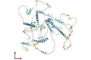 AlphaFold protein structure predicition of Human Recombinant SART1 Protein, UniprotID O43290 (SART1 Protein (AA 1-800) (His tag))