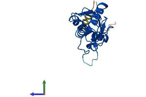 Protein Structure (PS) image for Ubiquitin-Conjugating Enzyme E2F (UBE2F) (AA 1-185) protein (His tag) (ABIN7544896)