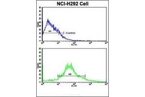 Flow Cytometry (FACS) image for anti-Aldehyde Dehydrogenase 3 Family, Member A1 (ALDH3A1) (AA 69-99), (N-Term) antibody (ABIN392318)