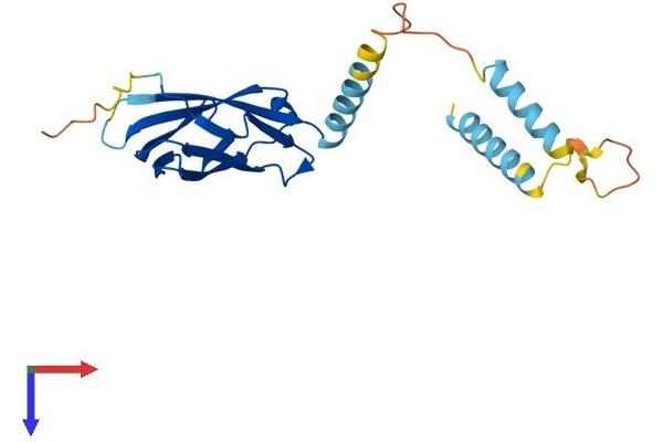 MOSPD1 Protein (AA 1-213) (His tag)