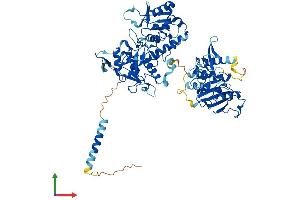 AlphaFold protein structure predicition of Human Recombinant EXT2 Protein, UniprotID Q93063