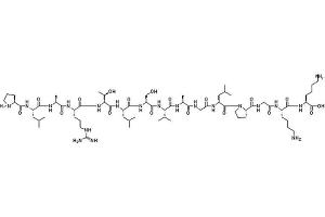 Image no. 1 for Syntide-2 peptide (ABIN399829) (Syntide-2 Peptid)