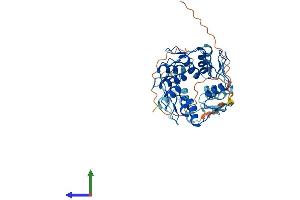 AlphaFold protein structure predicition of Human Recombinant ZNF491 Protein, UniprotID Q8N8L2