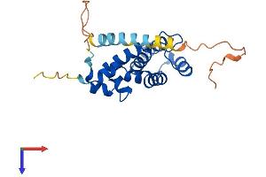 RGS2 Protein (AA 1-211) (His tag)