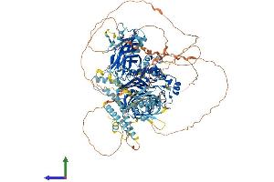AlphaFold protein structure predicition of Human Recombinant INPPL1 Protein, UniprotID O15357 (INPPL1 Protein (AA 1-1258) (His tag))