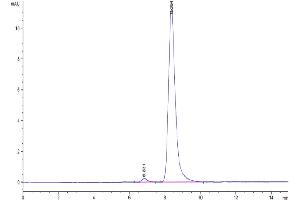 Size-exclusion chromatography-High Pressure Liquid Chromatography (SEC-HPLC) image for Trophoblast Glycoprotein (TPBG) (AA 35-355) protein (His tag) (ABIN7273783)