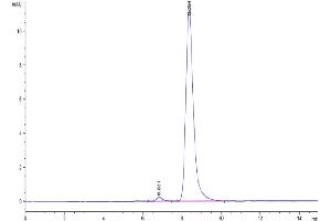 The purity of Cynomolgus TPBG is greater than 95 % as determined by SEC-HPLC. (TPBG Protein (AA 35-355) (His tag))