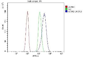 Flow Cytometry analysis of C6 cells using anti-Arp2/ACTR2 antibody (ABIN7599349).