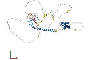 AlphaFold protein structure predicition of Human Recombinant E2F3 Protein, UniprotID O00716 (E2F3 Protein (AA 1-465) (His tag))