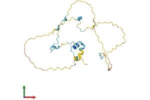 AlphaFold protein structure predicition of Mouse Recombinant Rhno1 Protein, UniprotID Q8K3A4