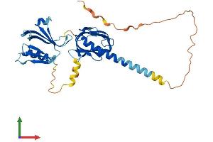 Protein Structure (PS) image for Docking Protein 5 (DOK5) (AA 1-306) protein (His tag) (ABIN7547188)