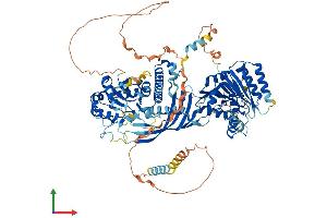 Protein Structure (PS) image for Chondroitin Sulfate Synthase 3 (CHSY3) (AA 1-884) protein (His tag) (ABIN7563803)