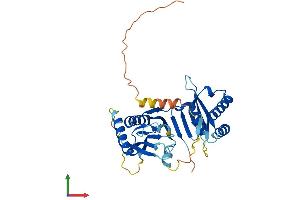 Protein Structure (PS) image for Centromere Protein L (CENPL) (AA 1-329) protein (His tag) (ABIN7557145)