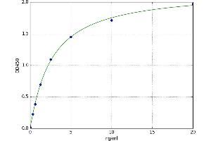 A typical standard curve (RUNX2 ELISA Kit)