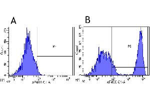 Flow-cytometry using the anti-CD20 research biosimilar antibody Rituximab   Rhesus monkey lymphocytes were stained with an isotype control (panel A) or the rabbit-chimeric version of Rituximab (panel B) at a concentration of 1 µg/ml for 30 mins at RT. (Rekombinanter MS4A1 (Rituximab Biosimilar) Antikörper)