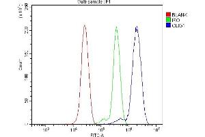 Flow Cytometry analysis of THP-1 cells using anti-Olig1 antibody (ABIN7599193). (OLIG1 Antikörper  (AA 1-271))