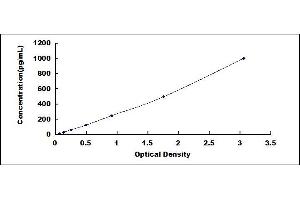 Typical standard curve (Suprabasin ELISA Kit)