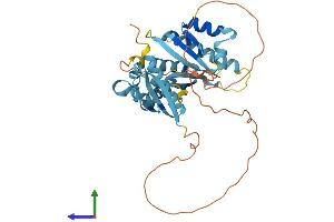 Protein Structure (PS) image for Poly(rC) Binding Protein 1 (PCBP1) (AA 1-356) protein (His tag) (ABIN7556560)