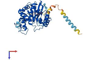 B3GNT4 Protein (AA 1-350) (His tag)