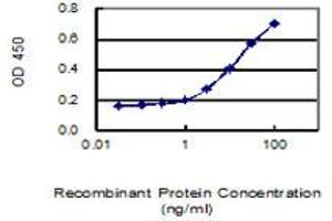 Detection limit for recombinant GST tagged SPZ1 is 1 ng/ml as a capture antibody. (SPZ1 Antikörper  (AA 1-430))